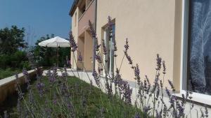 Apartment Nin 13172c