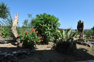 Corfu Green Paradise