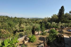 Corfu Green Paradise