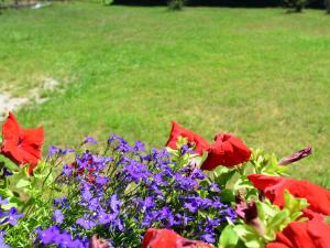 Chalets Snug Chalet in Turquestein Blancrupt with Fenced Garden : photos des chambres