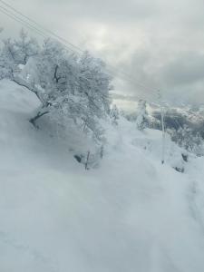 Tranquility In The Himalayas