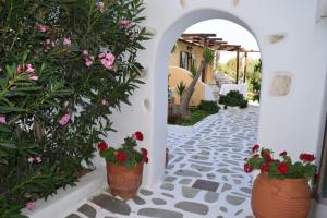 Tzane Apartments Paros Greece