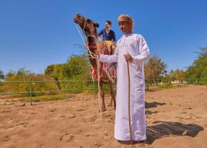 Wadi Al Abiyad Sand, Barka, Oman.