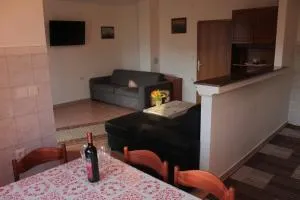 Apartmani Peko - 帕格