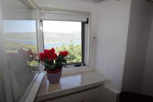 Accommodation Lily