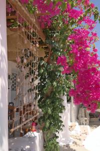 Sun Rock Boutique Suites Naxos Greece