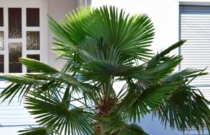 Apartments & Rooms Marinka