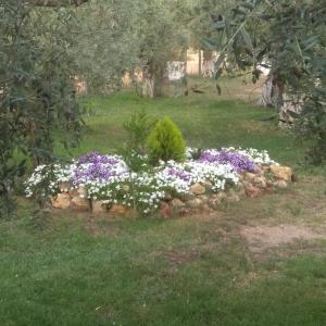 Sunray Separate Villa Thassos Greece
