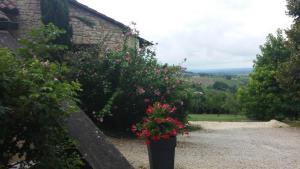 B&B / Chambres d'hotes En Rouge et Noir : photos des chambres