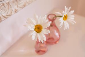 Guesthouse Casa Vittoria 