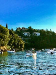 Villa Polyxeni Apartments Epirus Greece