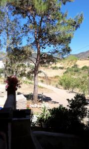 Casa Vacanza il Mandorlo img38