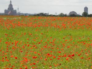 Fewo Rügen Böttger