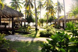 Main Road, Amuri Village, Arutanga PO BOX 59, Cook Islands.