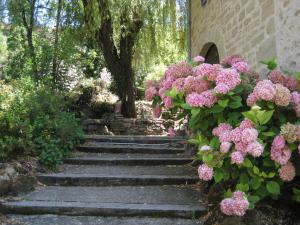 Hotels Hotel Restaurant Le Murier de Viels - Figeac Grand : photos des chambres