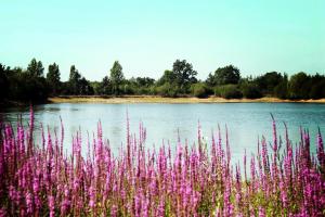 Campings Camping Au Pre de l'Etang : photos des chambres