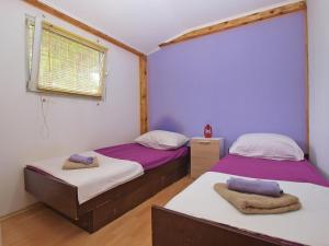 House Nikola 1422 