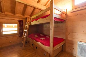 Les Chalets du Danay : photos des chambres