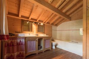 Les Chalets du Danay : photos des chambres