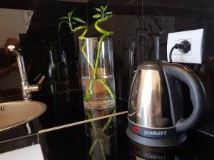 Flori beach Apartment Radhime