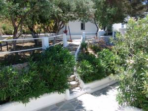 Hotel Aegean Home Studios & Apartments Kalymnos Greece