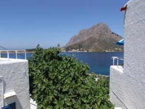 Hotel Aegean Home Studios & Apartments Kalymnos Greece