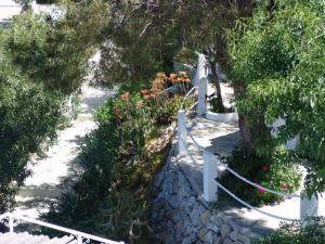 Hotel Aegean Home Studios & Apartments Kalymnos Greece