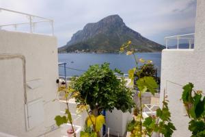 Hotel Aegean Home Studios & Apartments Kalymnos Greece