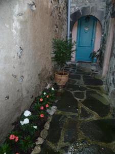 B&B / Chambres d'hotes Les Hibiscus : photos des chambres