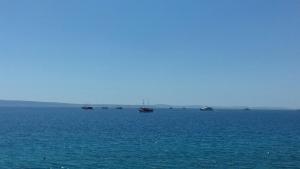Apartments Toma Bajnice Directly
