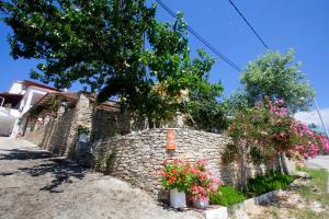 Villa Golden Nest Thassos Greece