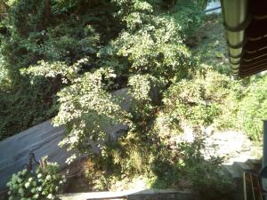 Triple Room with Garden View