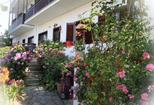 Hotel Erato Pelion Greece