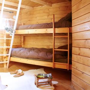 Chalets La Cab'Ane : photos des chambres