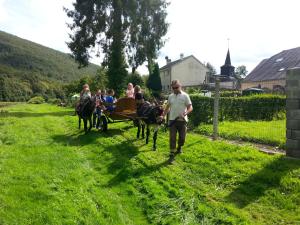 Chalets La Cab'Ane : photos des chambres