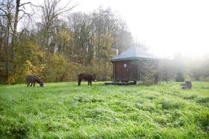 Chalets La Cab'Ane : photos des chambres