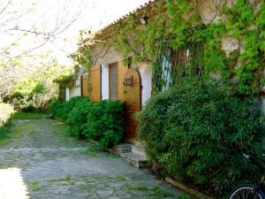 Villa Roka photo 18