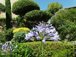 B&B / Chambres d'hotes Les Buis de Lussan : photos des chambres