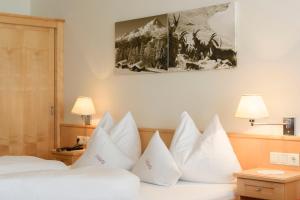 Hotel Silbertal