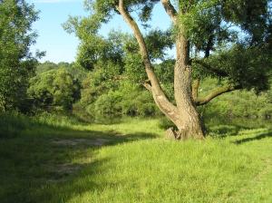 Ferienwohnung Am Alten Berg