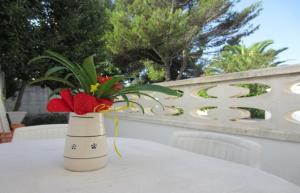 Bilocale con spazio verde