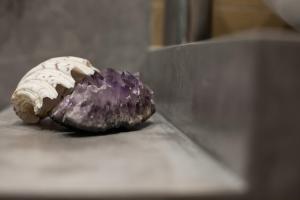 Pallas Luxury Apartments