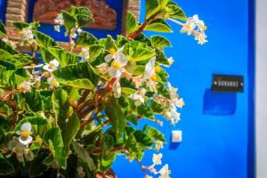 Porto Gerakas Villas