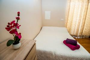 Sebenicum Apartments