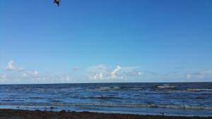 PRIVATE BEACH -- AWAY FROM THE CROWDS - Ocean Views -Short drive to MOODY GARDENS, SCHLITTER BAHN, PLEASURE PIER