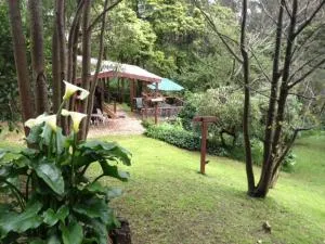 Stone's Throw Cottage Bed and Breakfast - Fern Tree Gully