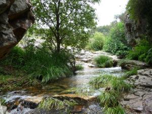 A Velha Casa Vila de Rei