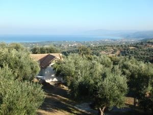 Ferienhaus Olive Garden Messinia Greece