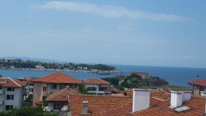 The Sea Lions Guest House