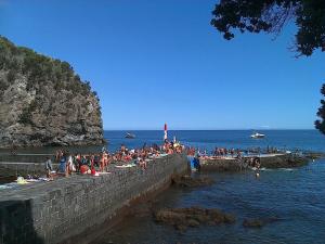 Caloura Camellia House